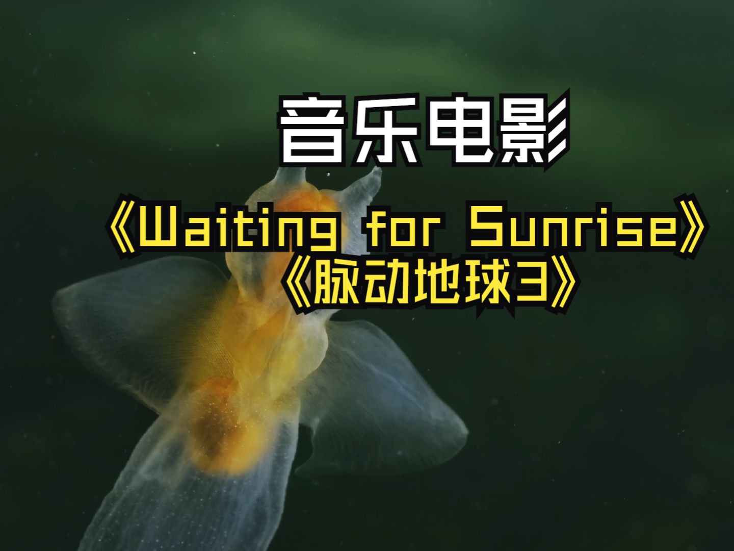 [图]音乐电影 - Waiting For Sunrise by April Rain 地球脉动第三季