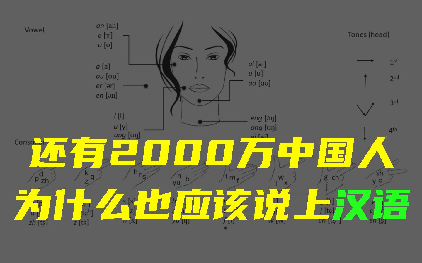 【公益】身处同一个语言圈有多重要?如何让中国的听障群众也融入到汉语的环境中来?哔哩哔哩bilibili