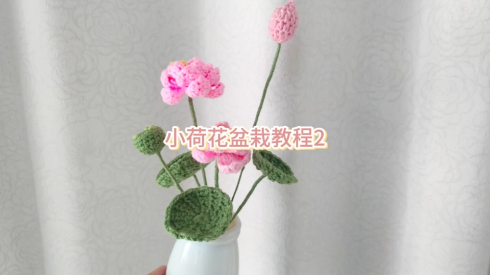 小荷花盆栽教程2哔哩哔哩bilibili