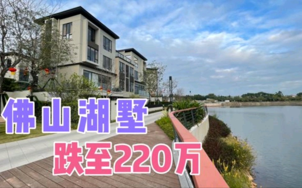 佛山楼市泡沫终破裂,湖景别墅腰斩至220万,房地产不堪回首啊!哔哩哔哩bilibili