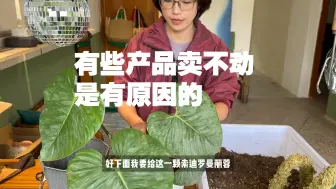 Télécharger la video: 「山乌龟」园艺Vlog｜日常种花｜史上最丑水苔柱