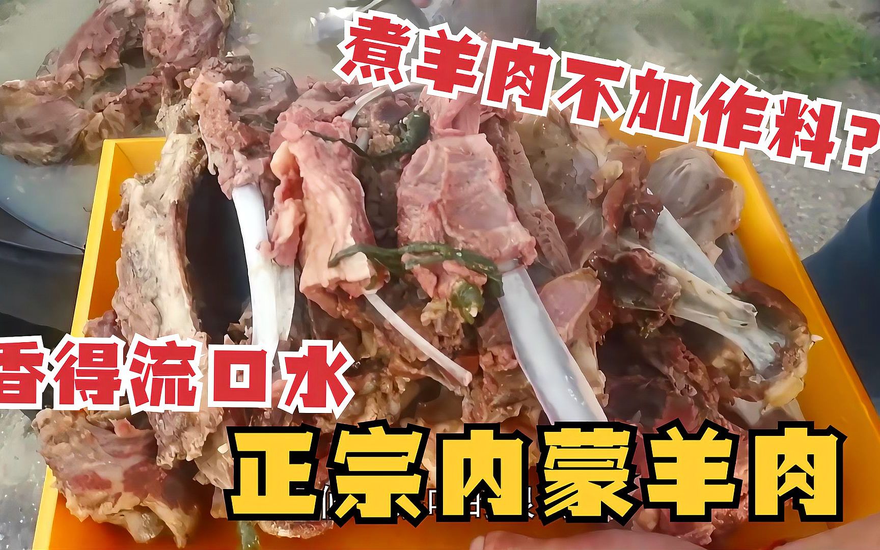 纯正内蒙羊肉长啥样?草原小伙现宰4岁大羊,煮肉出锅香得直流口水哔哩哔哩bilibili