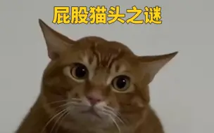 Download Video: 解开屁股猫猫头形成之谜，