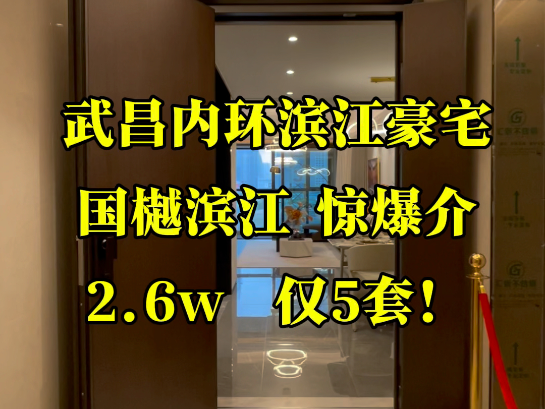 武昌内环滨江—国樾滨江,单价2.6万.仅5套!哔哩哔哩bilibili