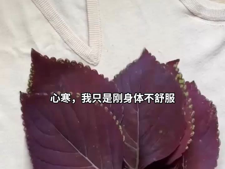 傅总的冷情罪妻1哔哩哔哩bilibili