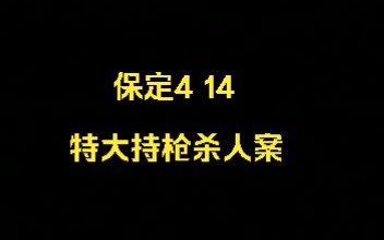 案件:保定4 14特大持枪杀人案哔哩哔哩bilibili