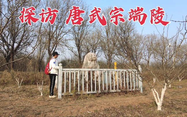 [图]探访唐武宗陵墓，当年他让26万僧尼还俗，1176年后墓地现状如何？