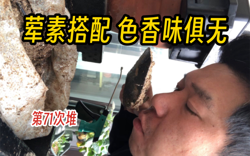 低温熟成200小时,这人在给植物做饭!?哔哩哔哩bilibili