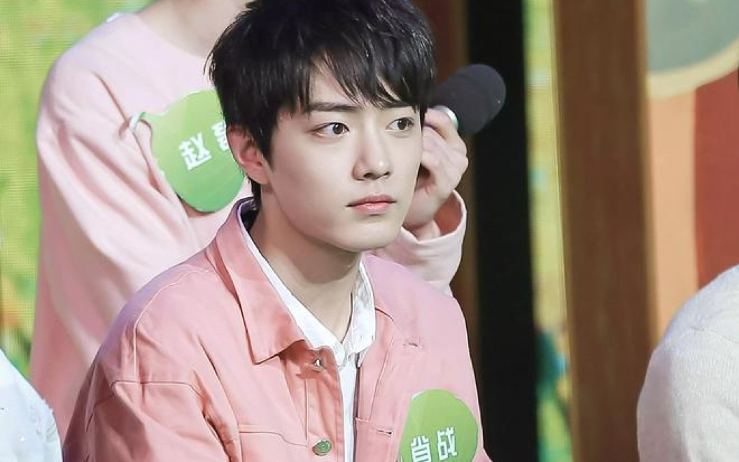 肖战综艺视频二 reaction