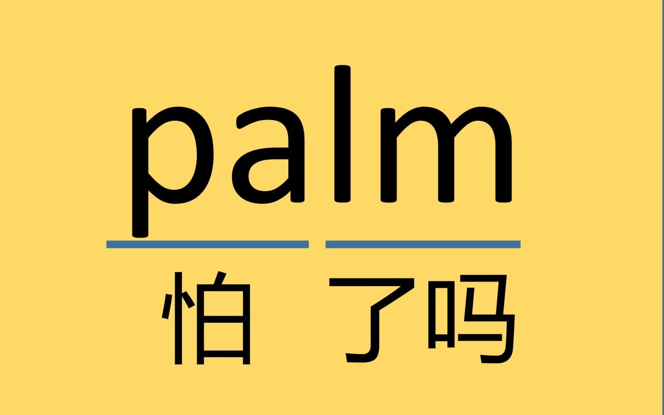 常见单词:palm哔哩哔哩bilibili