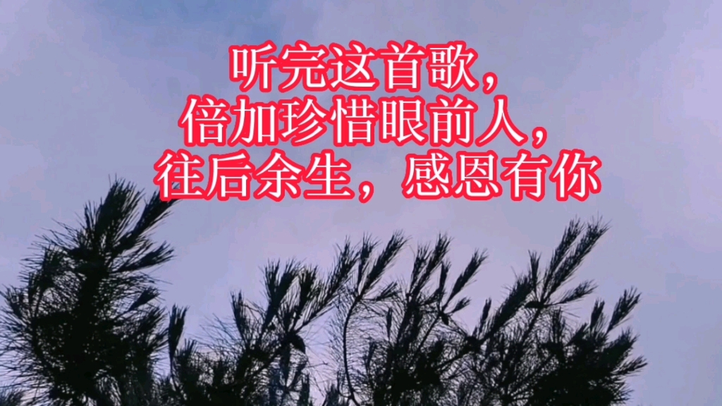 听完这首歌倍加珍惜眼前人往后余生感恩有你
