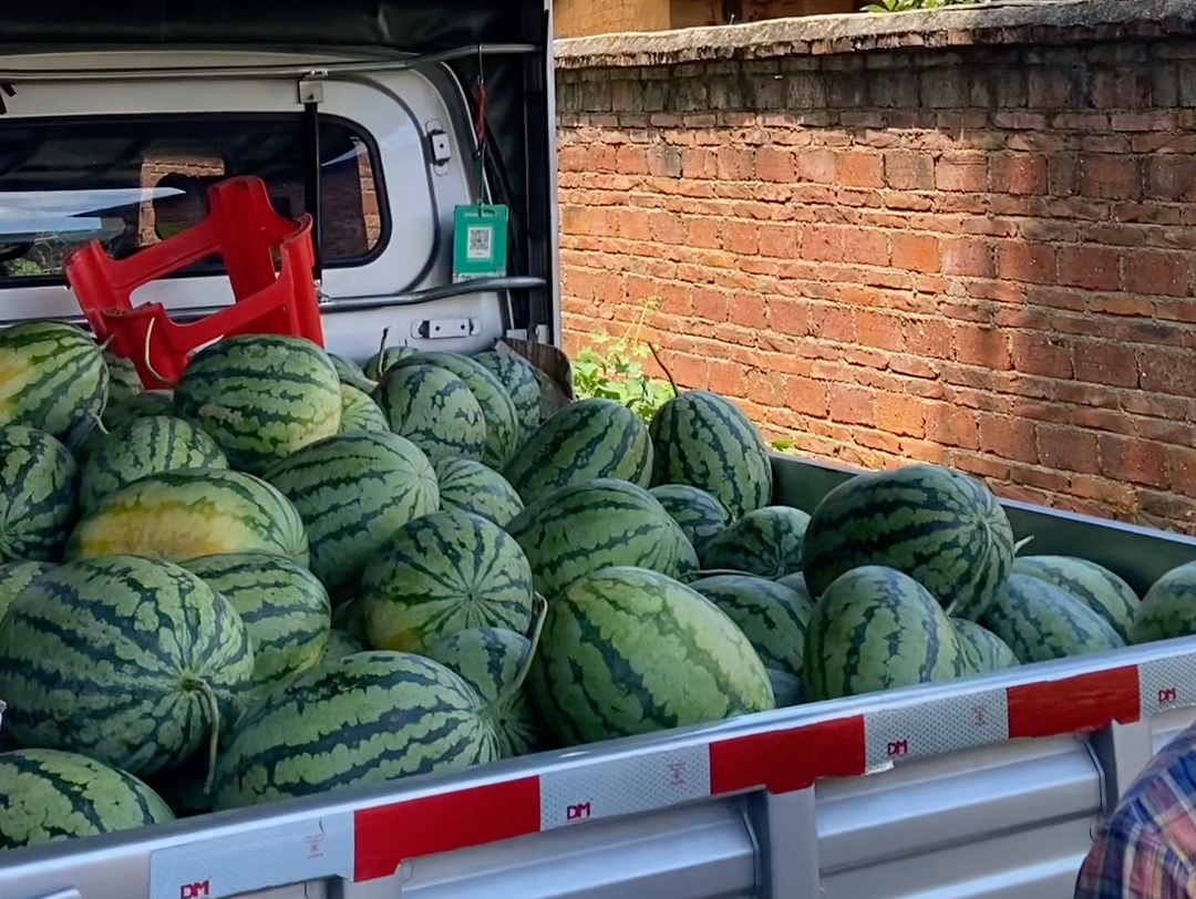 西瓜车的叫卖声,唤起了儿时的记忆,小时候西瓜车前总是热热闹闹的