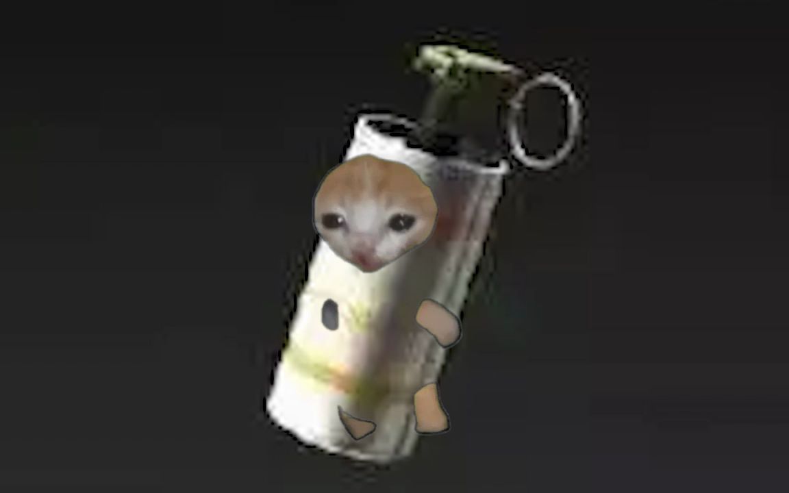 [图]the flashbang cat