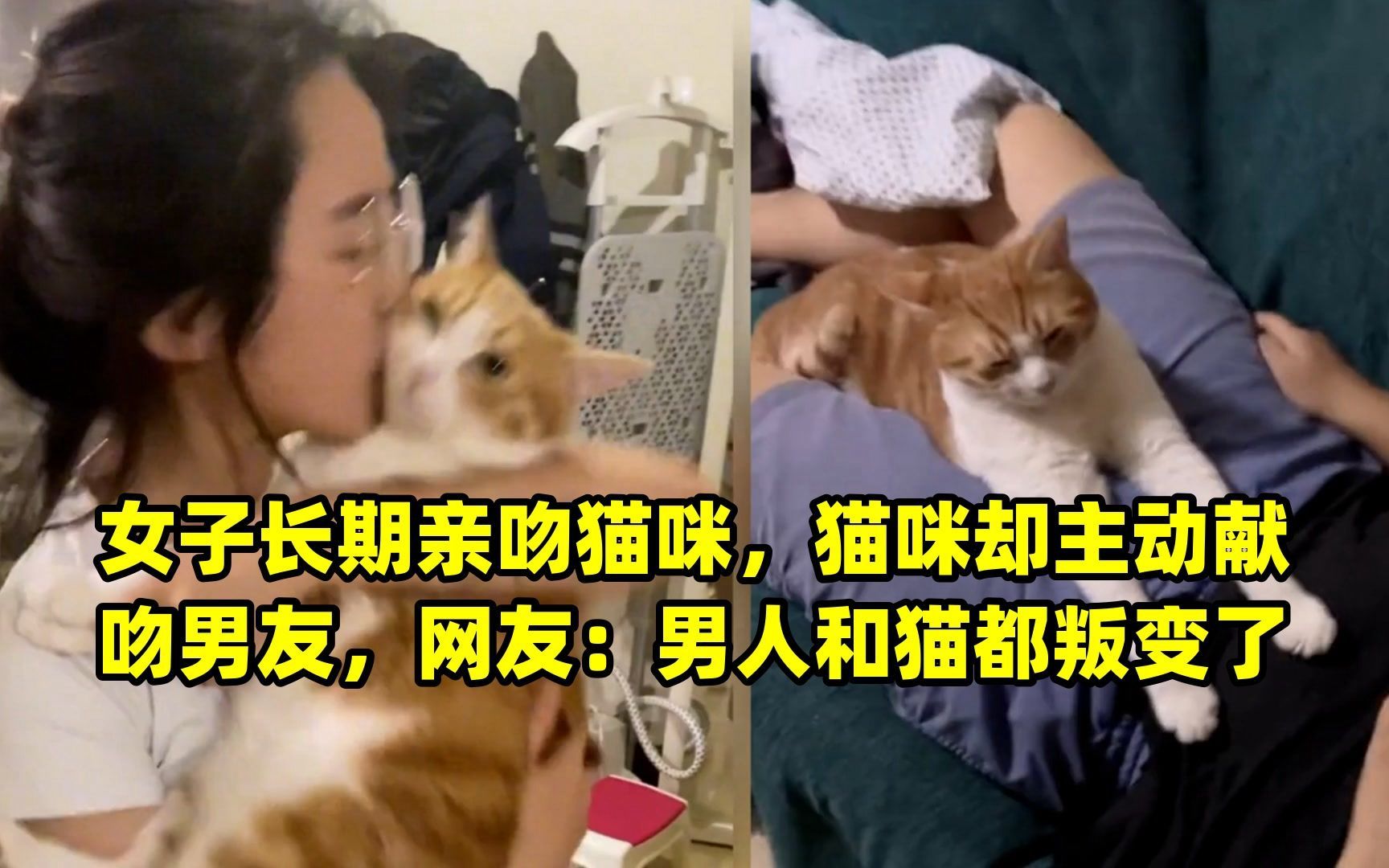 女子长期亲吻猫咪,猫咪却主动献吻男友,网友:男人和猫都叛变了哔哩哔哩bilibili