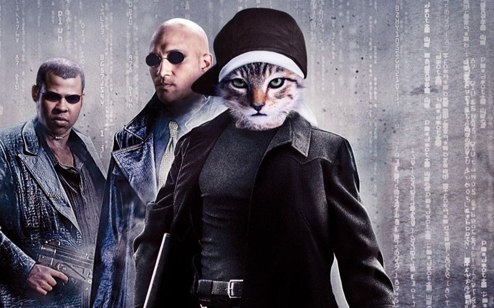 基努猫|基努配音片段