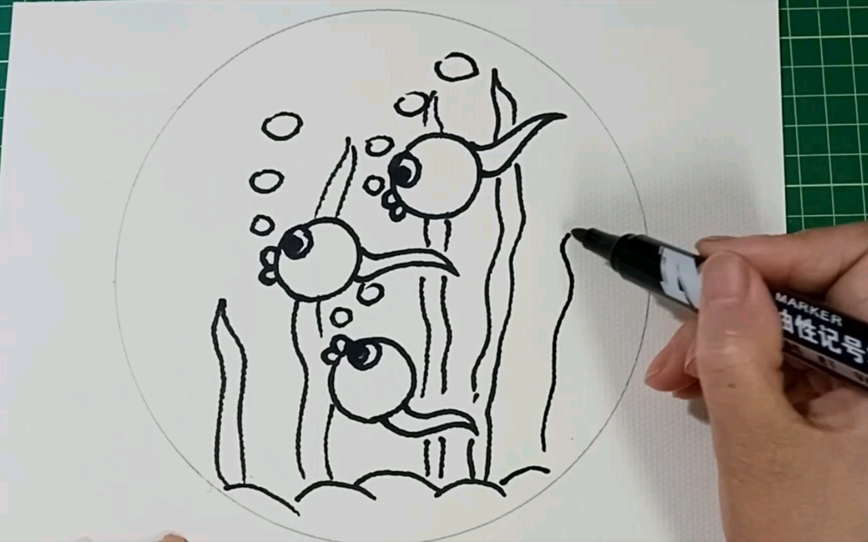 【儿童画】小蝌蚪——学前宝宝看过来:小蝌蚪的游动方向和背景内容