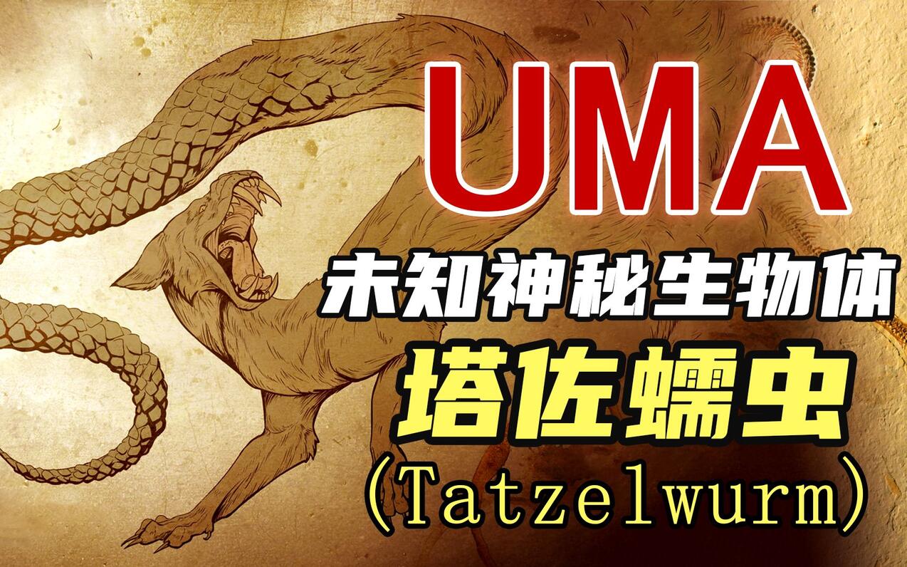  uma 