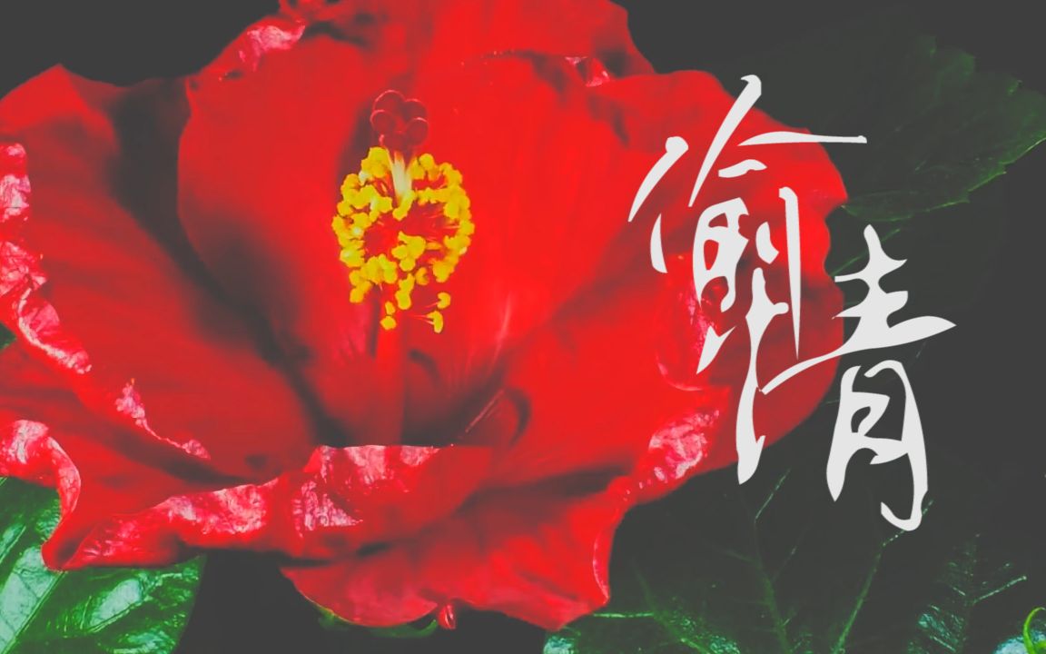 [图]【三生三世桃花缘】【朱良辰X白龙】【照实】如果可以快乐 谁情愿忘掉心魔