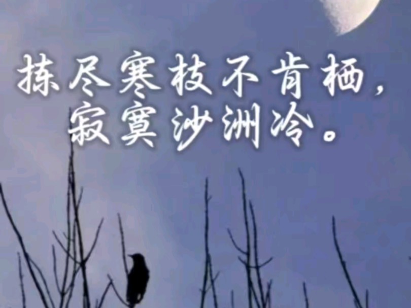 “拣尽寒枝不肯栖”可能看不到苏轼的风骨,但它与“夜来幽梦忽还乡.小轩窗,正梳妆”揾取的是相同的泪水.哔哩哔哩bilibili