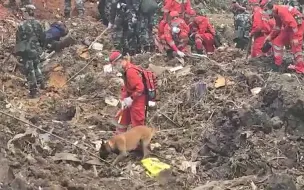 Скачать видео: 东航坠机核心区：搜救犬搜寻生命迹象 启用金属探测器寻找黑匣子