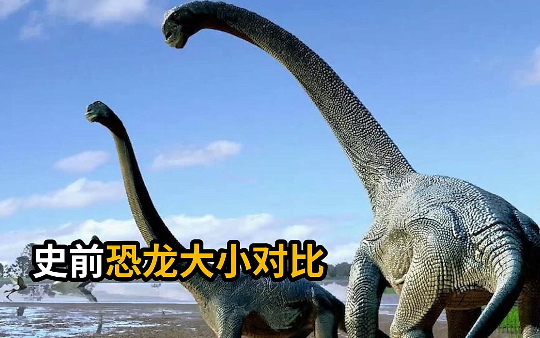 史前恐龙体型大小对比,看看谁最大?