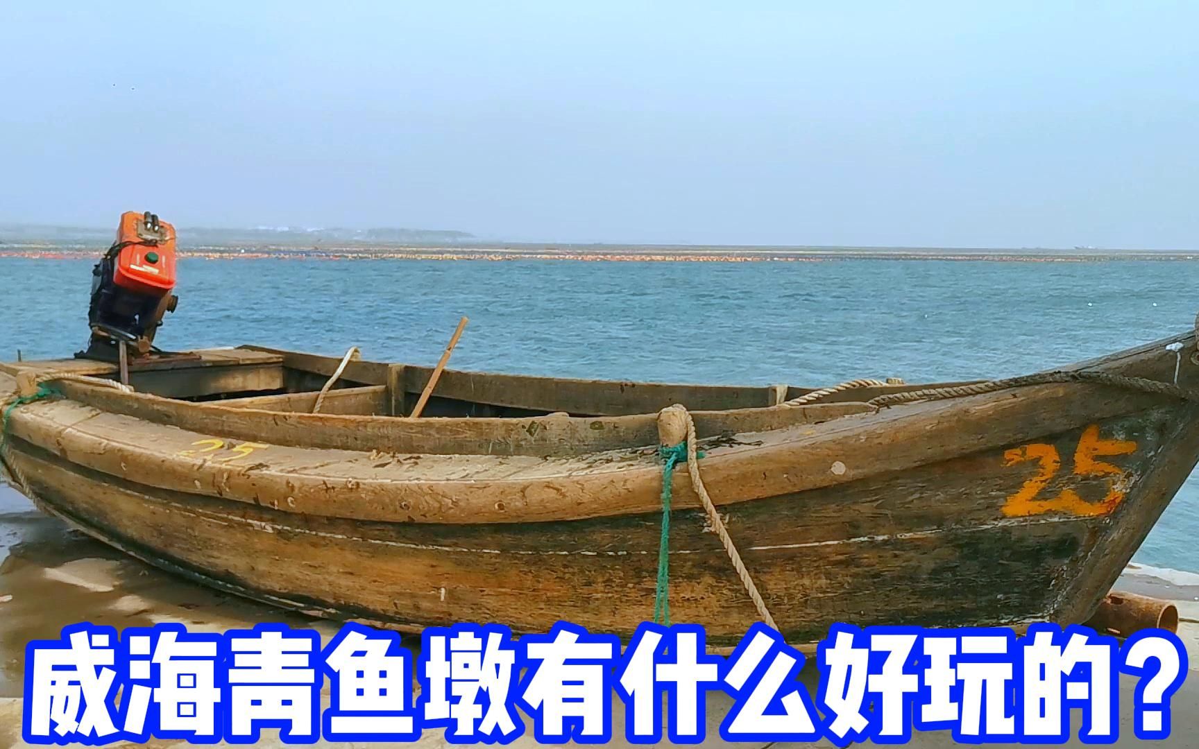 为什么来威海旅游必到青鱼滩?哔哩哔哩bilibili