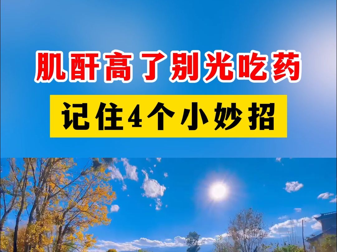 肌酐高了别光吃药,记住4个小妙招,您的肌酐会降得更稳哔哩哔哩bilibili