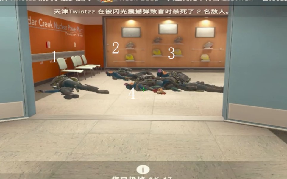 【csgo】四隻小海豹和一個蒼蠅頭