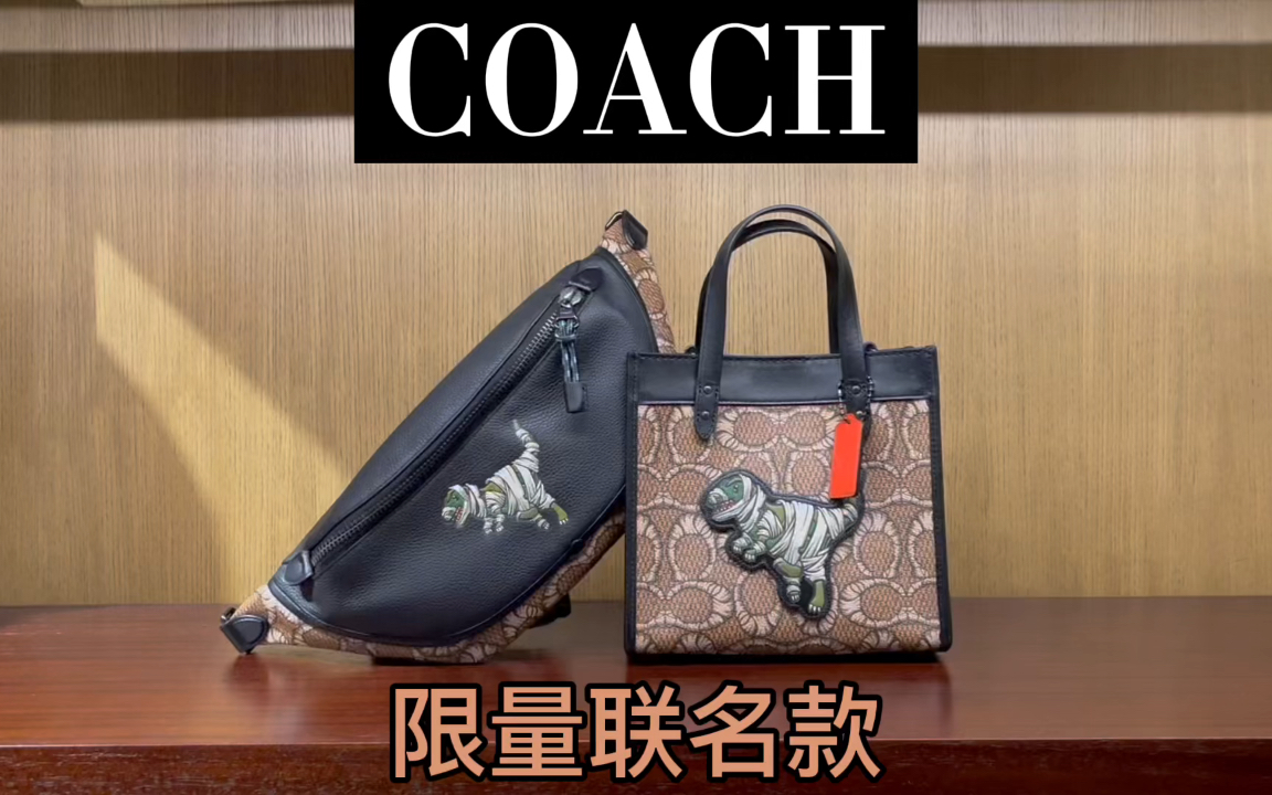 coachbag木乃伊恐龙限量联名款胸包托特包
