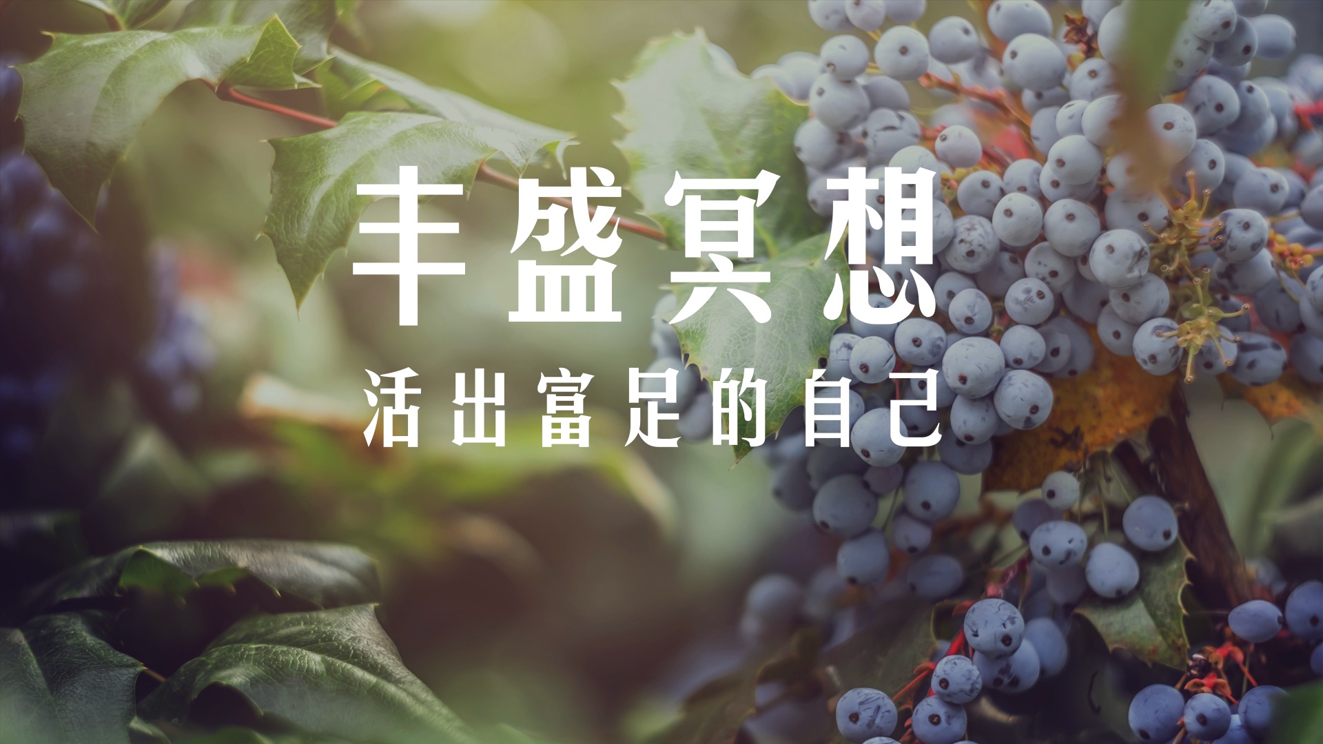 8分钟冥想|启动丰盛频率!真的很强大7890