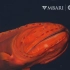 【熟肉】MBARI's Top 10 deep-sea animals