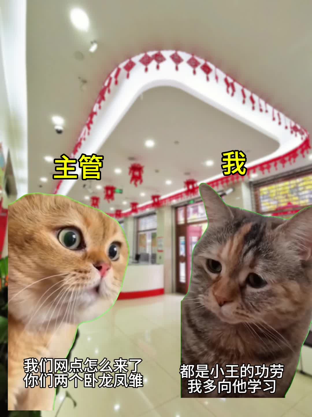 【猫meme】主管:我们网点新入行了两个卧龙凤雏哔哩哔哩bilibili