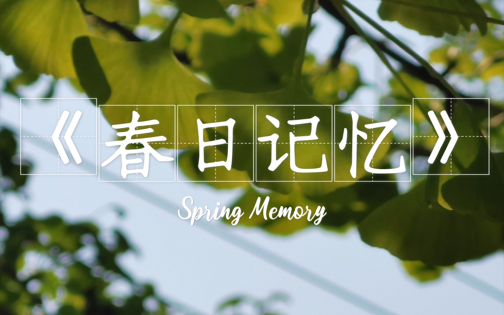 【小炮vlog】随手记录的春日记忆