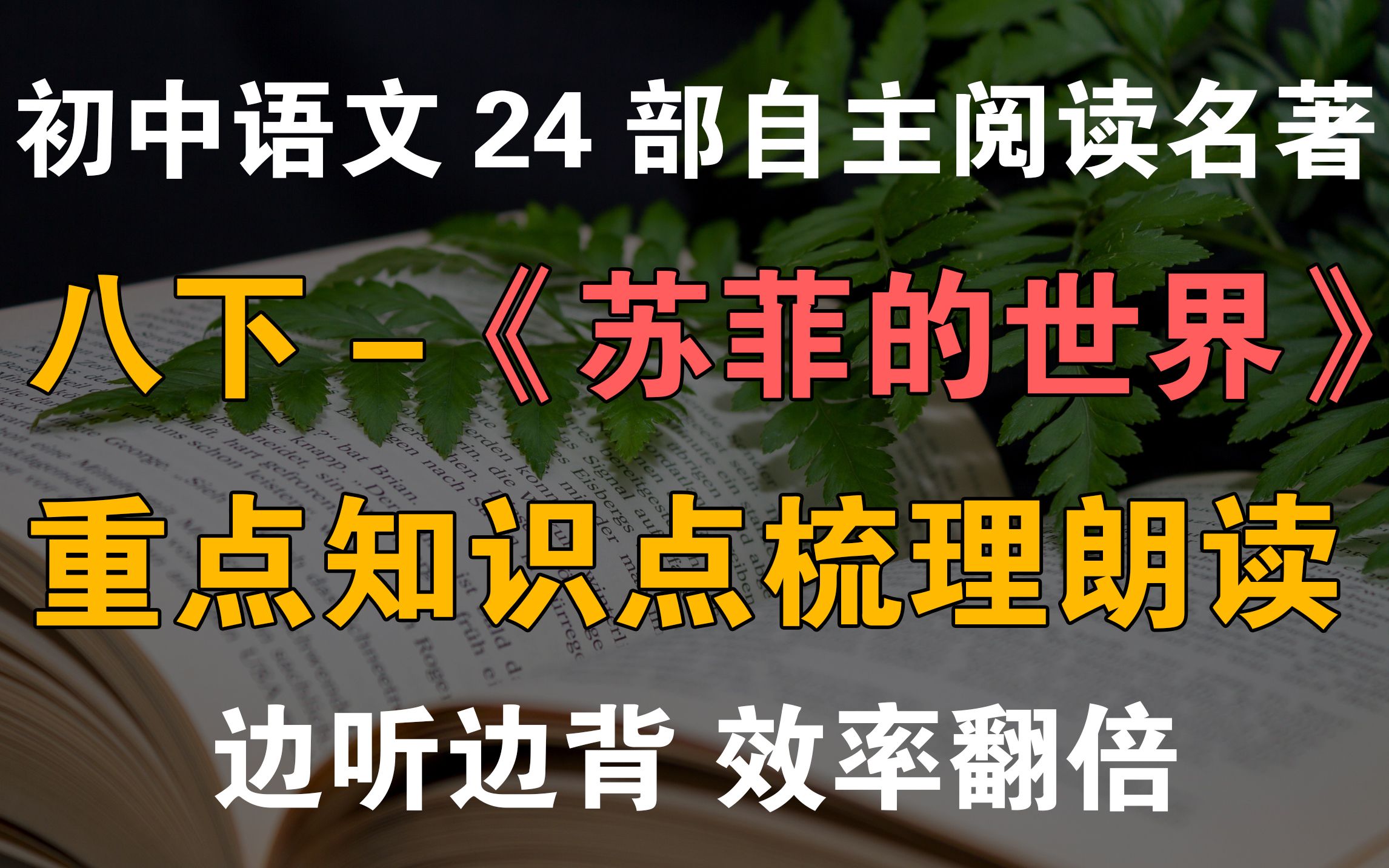 [图]初中24部自主阅读名著 知识点梳理朗读 八下-1《苏菲的世界》中考名著知识点梳理