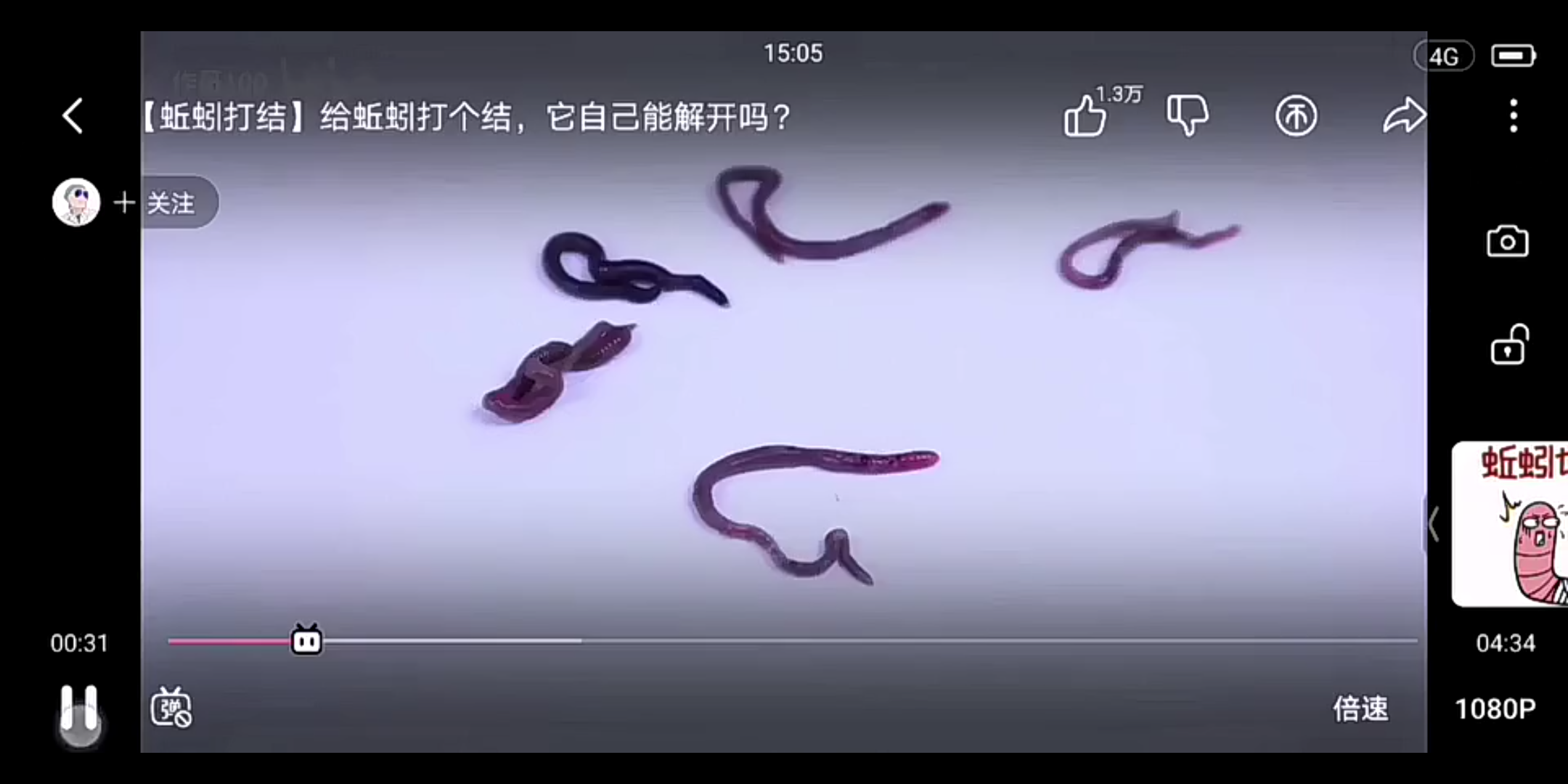 女朋友说我不理他跑到B站看蚯蚓打结哔哩哔哩bilibili