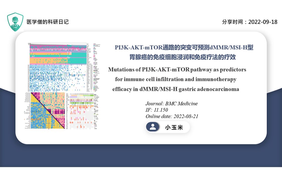 PI3KAKTmTOR通路的突变可预测dMMR/MSIH型胃腺癌的免疫细胞浸润和免疫疗法的疗效哔哩哔哩bilibili