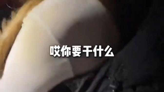 好闻吗？高清播放
