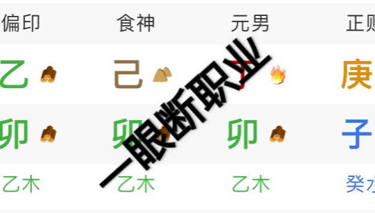 八字一眼断职业哔哩哔哩bilibili