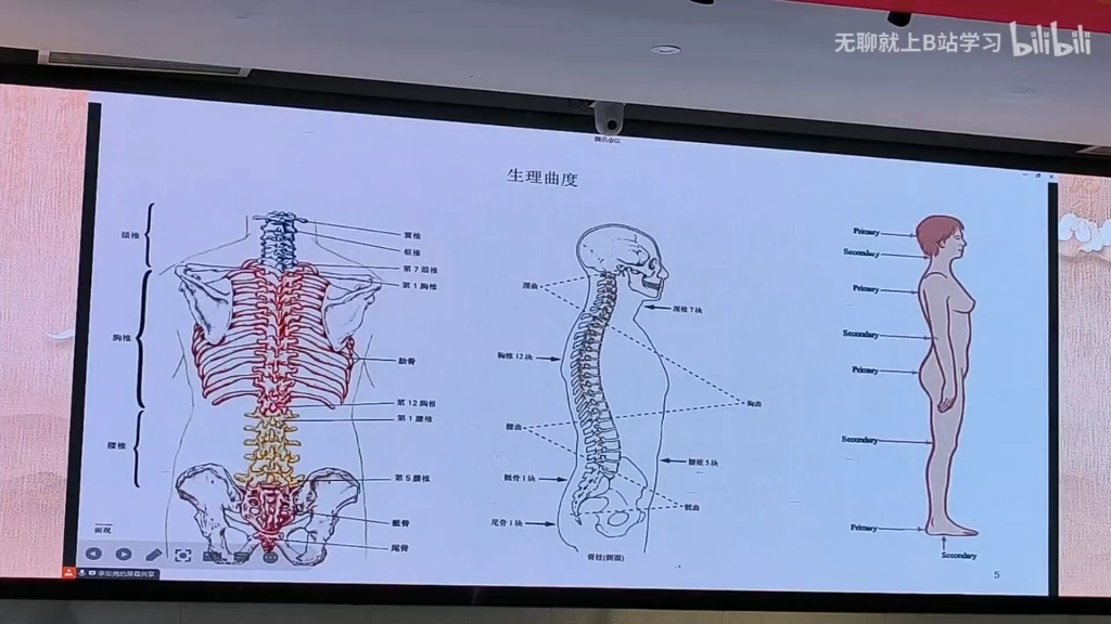 结构针灸治疗腰痛(关玲)哔哩哔哩bilibili