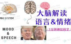 Download Video: 神经科学科普_一分钟讲解情绪和语言 | 失语症 | 大脑机制 | 我想说话不能说=能说但不是我想说的？