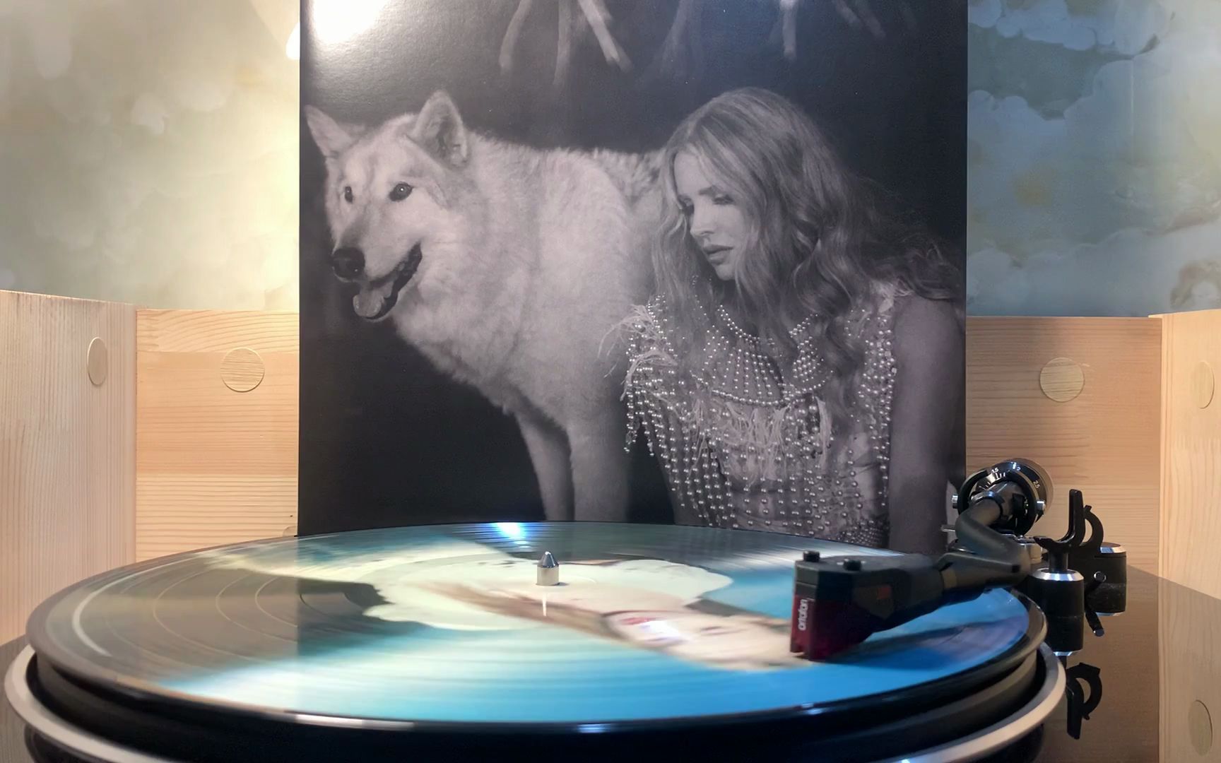 『黑胶音乐』lana del rey -《yosemite》