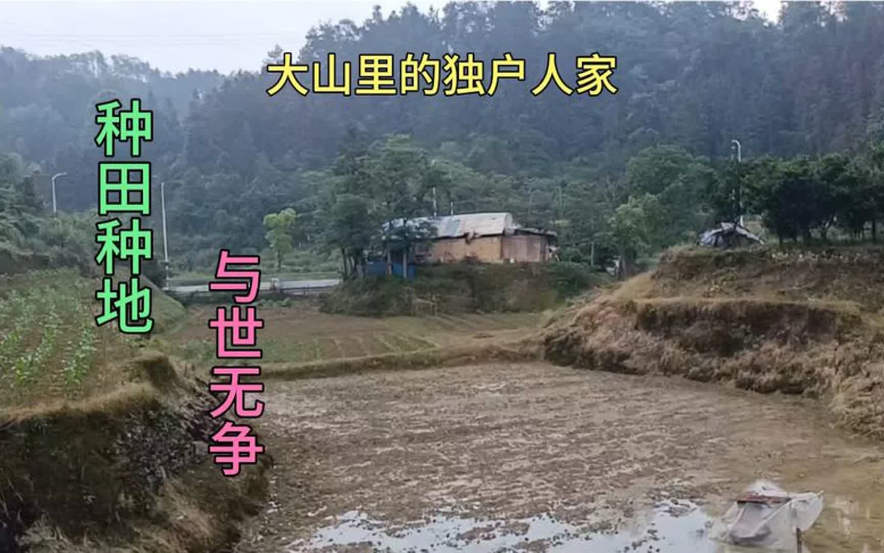 大山里独户人家,种田种地,与世无争,这日子真舒服,可惜没有电哔哩哔哩bilibili