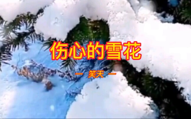 [图]伤感情歌《伤心的雪花》，笑天演唱