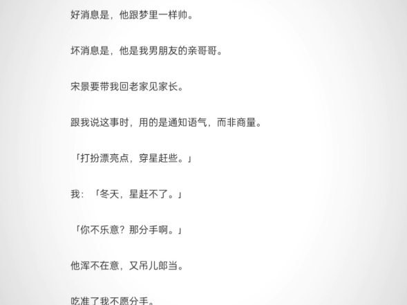 《我的初恋宋景》