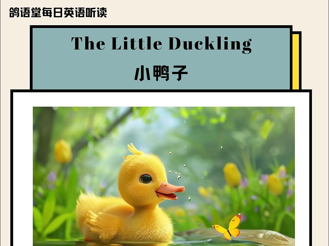 每日英语听读短文《小鸭子》