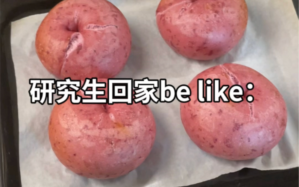 研究生回家备白人饭物料be like哔哩哔哩bilibili