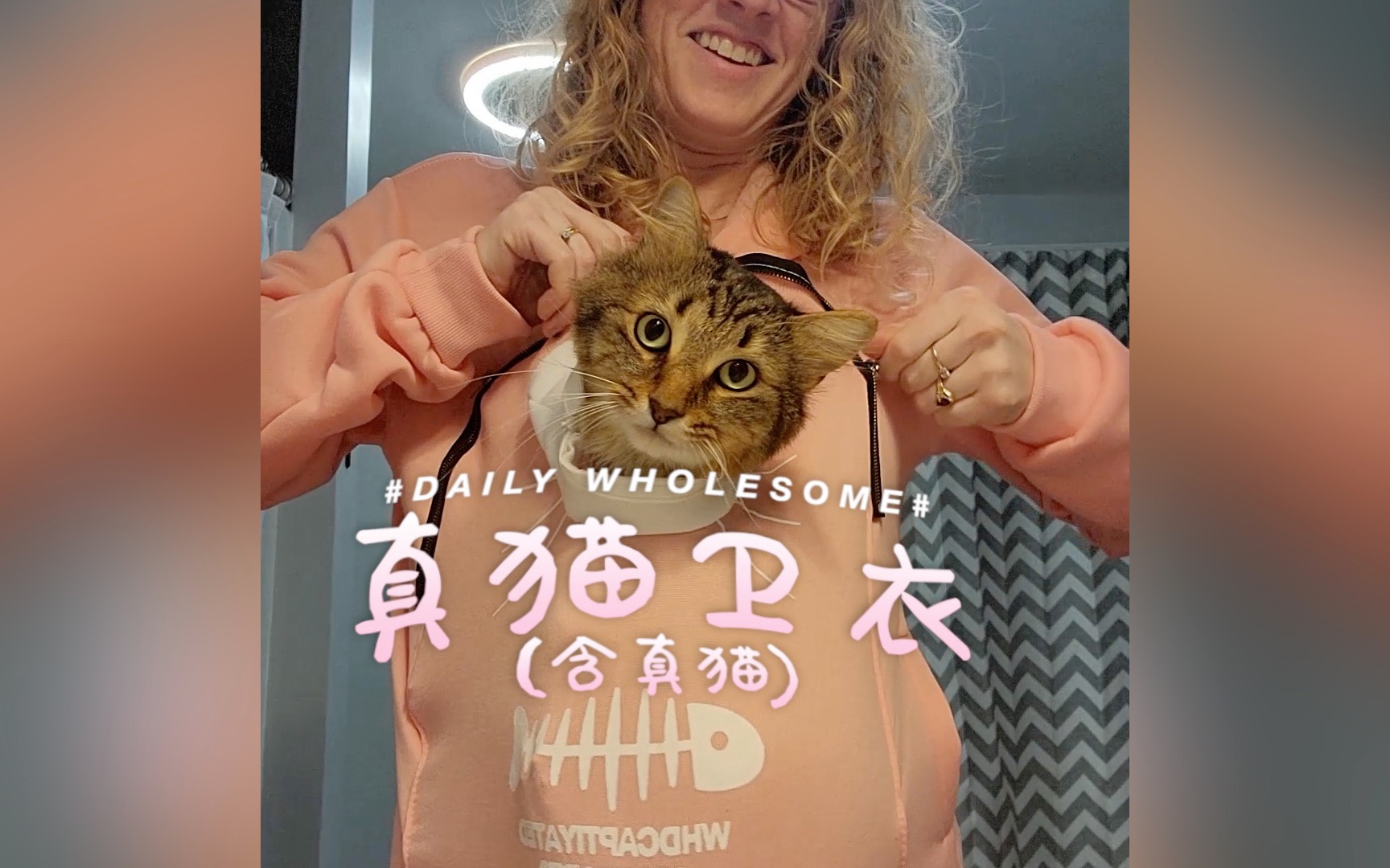 猫猫卫衣 (含真猫)哔哩哔哩bilibili