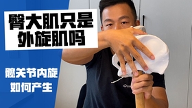 髋关节内旋拉伸 改善过度外旋 哔哩哔哩 つロ干杯 Bilibili