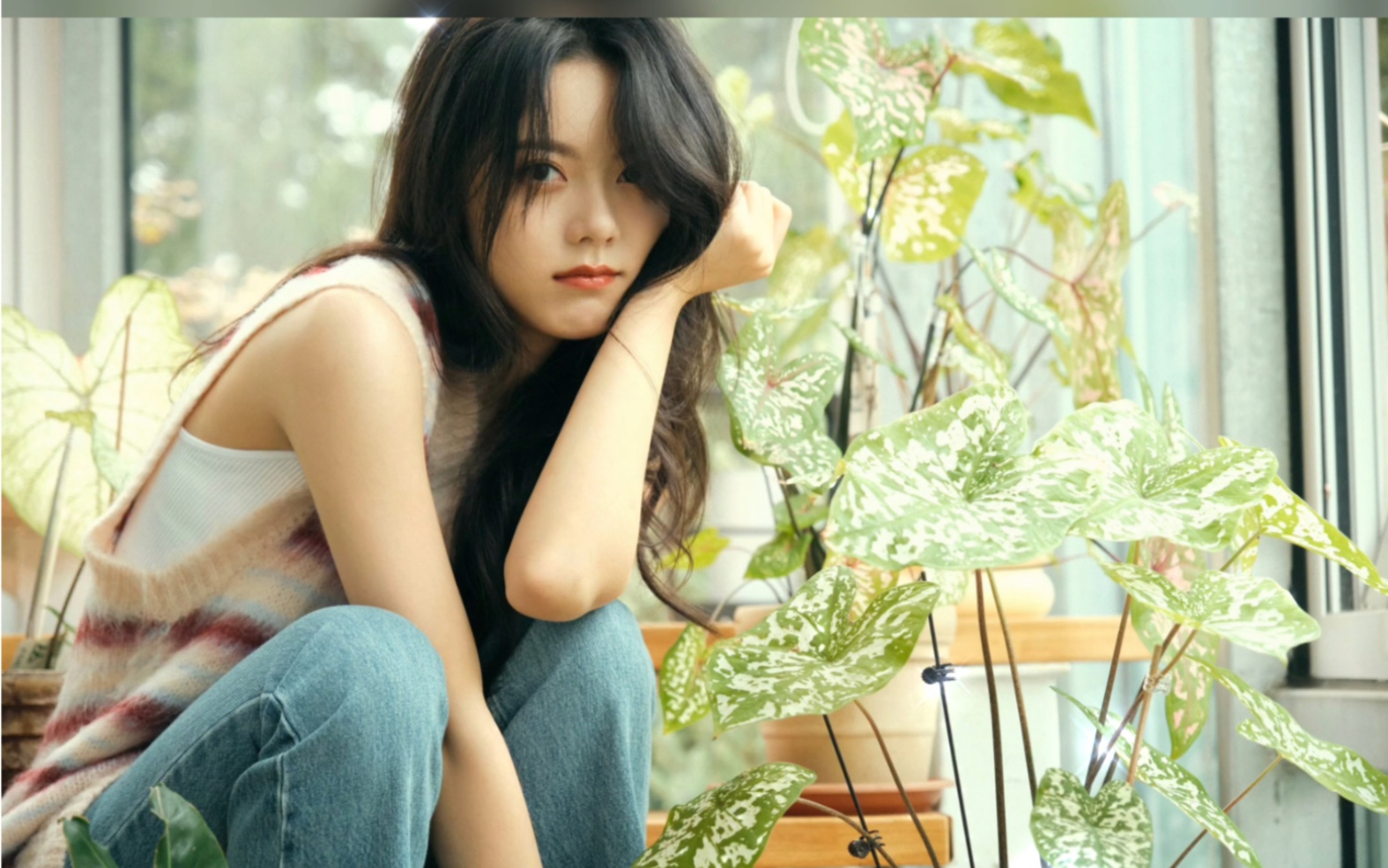 赵今麦花房美图