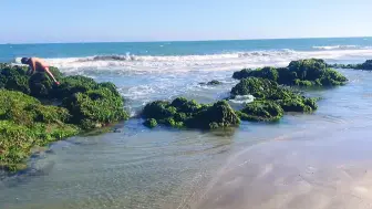 深圳最美赶海沙滩推荐，螺贝成群，鱼蟹随便抓，开车直达